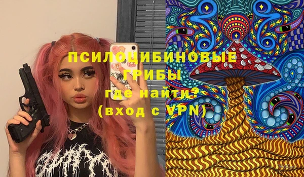 дмт Аркадак